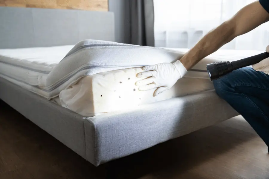 Bed bugs Control